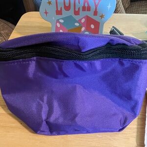 Purple Zippered Belt Bag NWOT